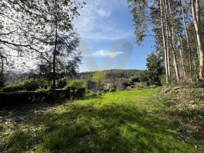 Quinta para Venda em Nogueira, Meixedo e Vilar de Murteda Foto 17