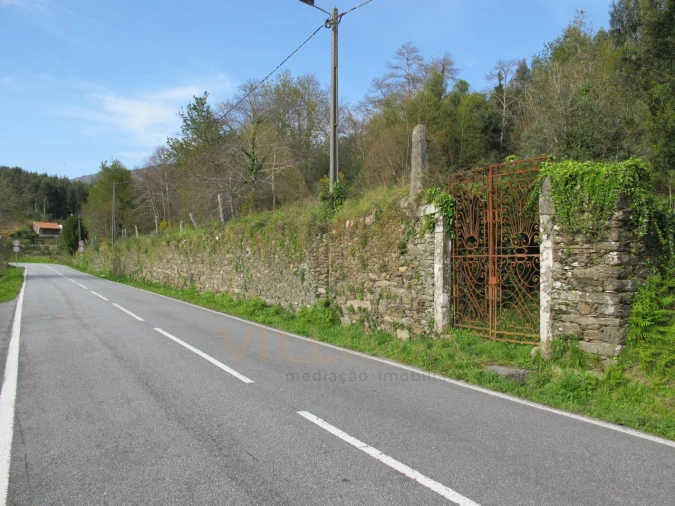 Quinta para Venda em Nogueira, Meixedo e Vilar de Murteda Foto 11