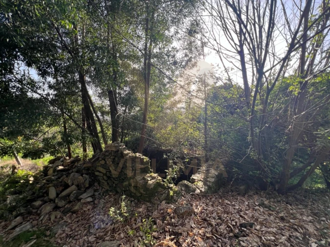 Quinta para Venda em Nogueira, Meixedo e Vilar de Murteda Foto 25