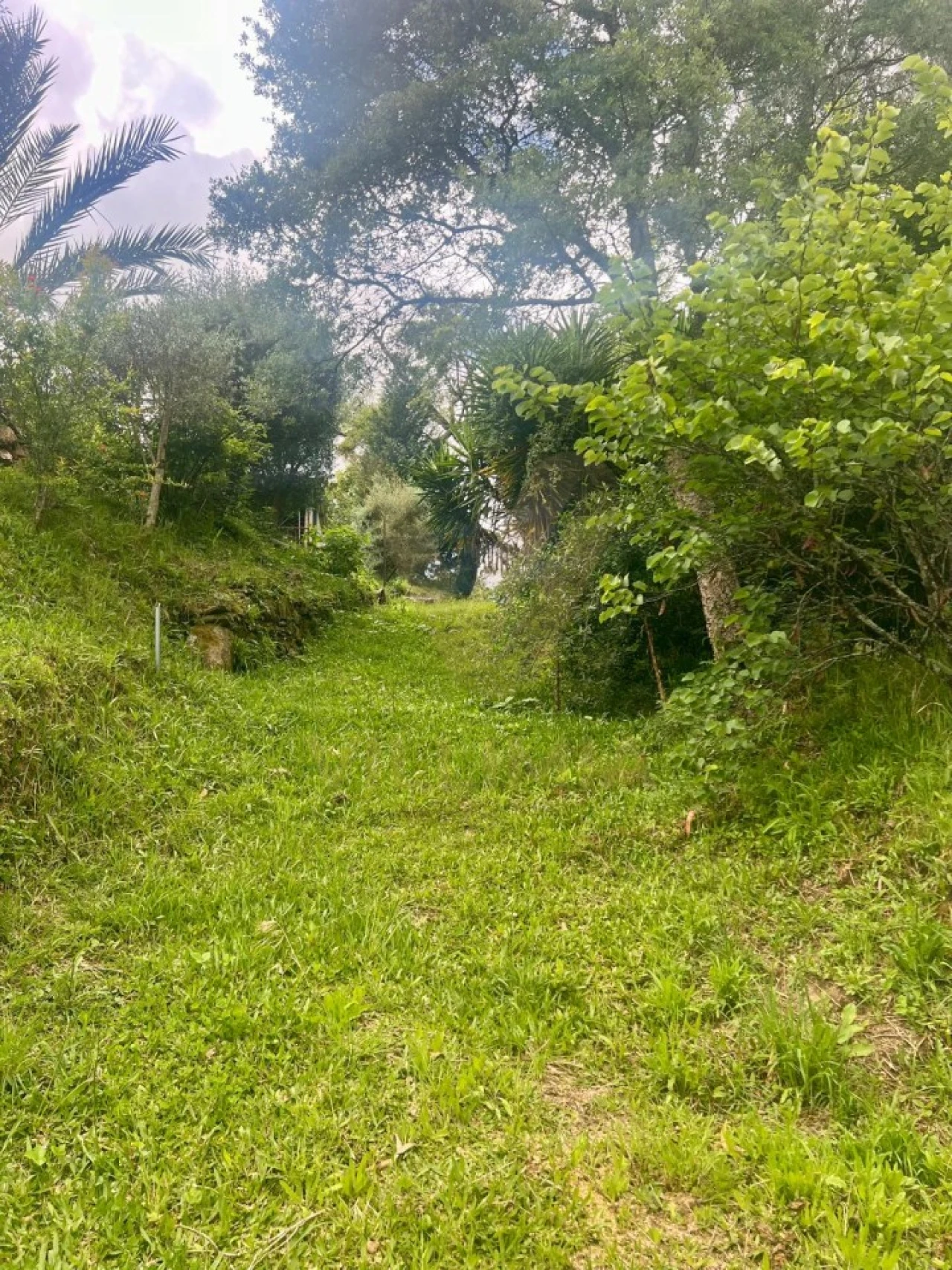 Terreno para Venda em Rebordões (Santa Maria) Foto 1