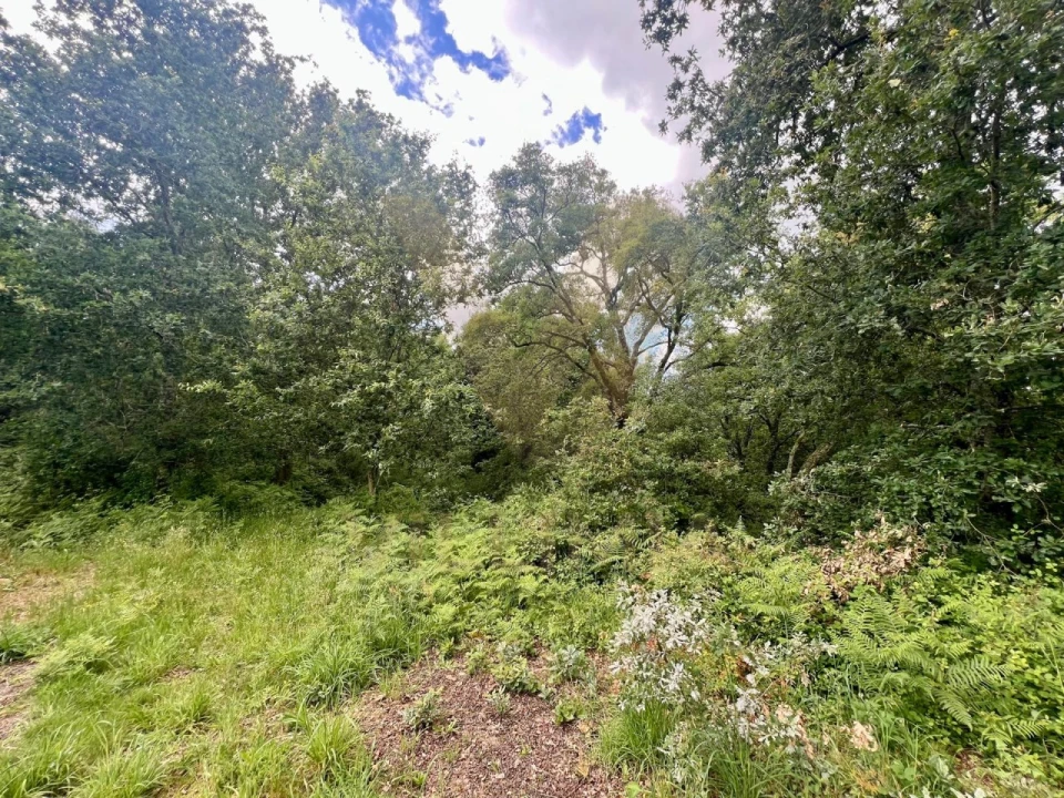 Terreno para Venda em Rebordões (Santa Maria) Foto 3