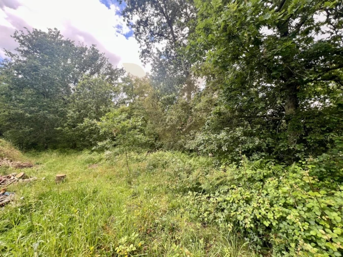 Terreno para Venda em Rebordões (Santa Maria) Foto 2