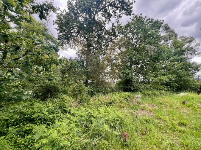 Terreno para Venda em Rebordões (Santa Maria) Foto 4