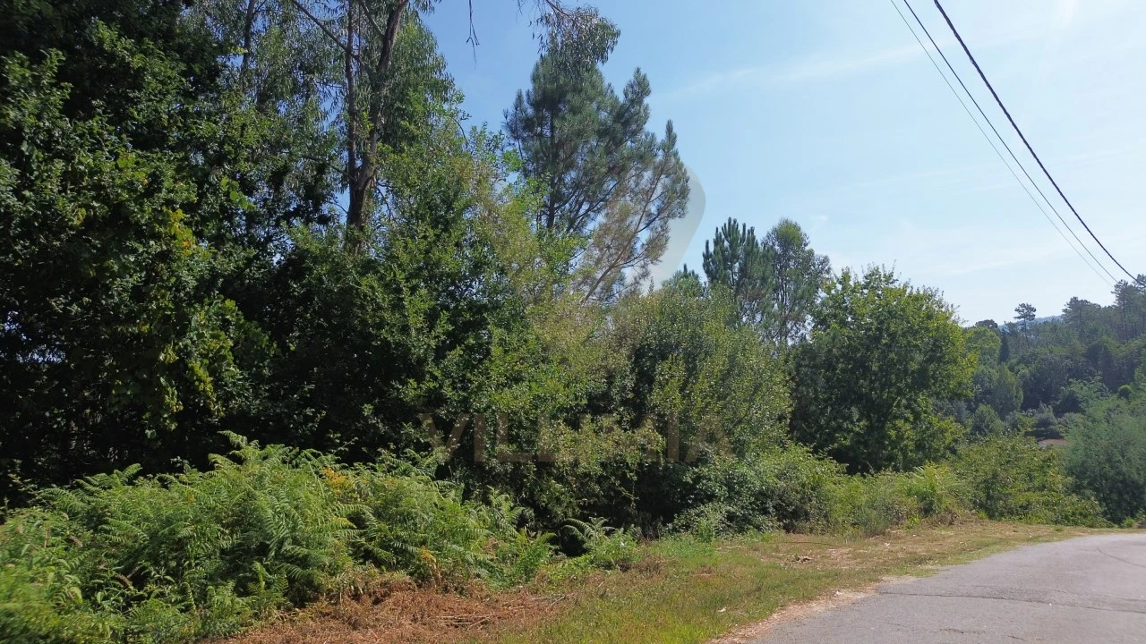Terreno para Venda em Rebordões (Santa Maria) Foto 4