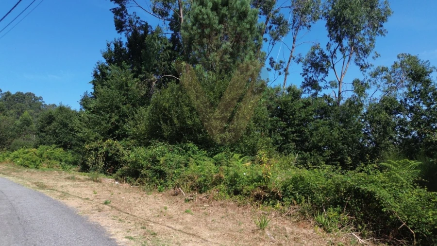 Terreno para Venda em Rebordões (Santa Maria) Foto 3
