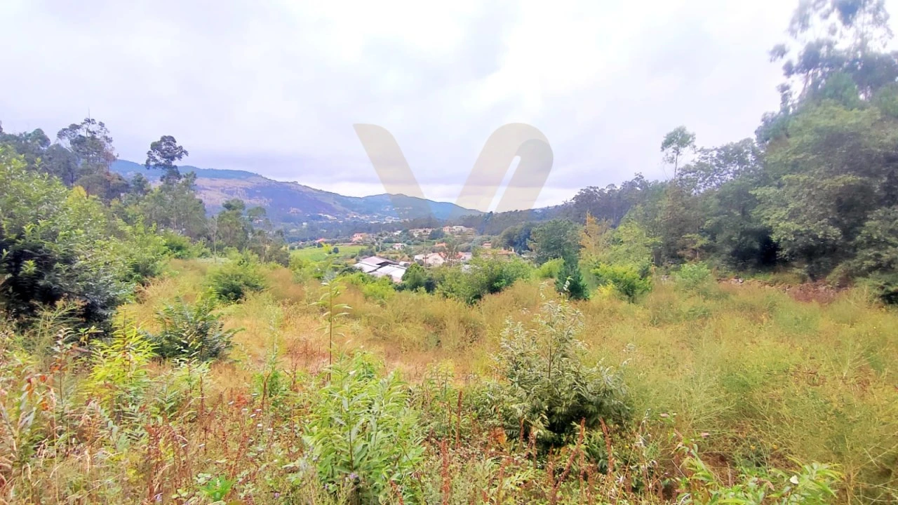 Terreno para Venda em Poiares Foto 5