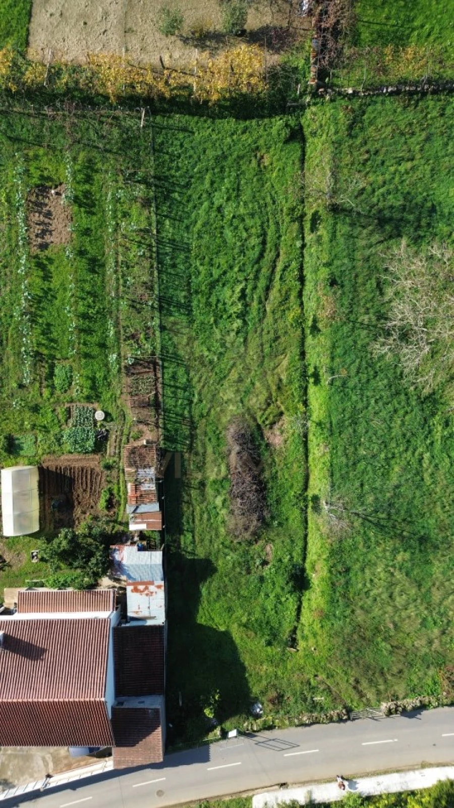Terreno para Venda em Feitosa Foto 11