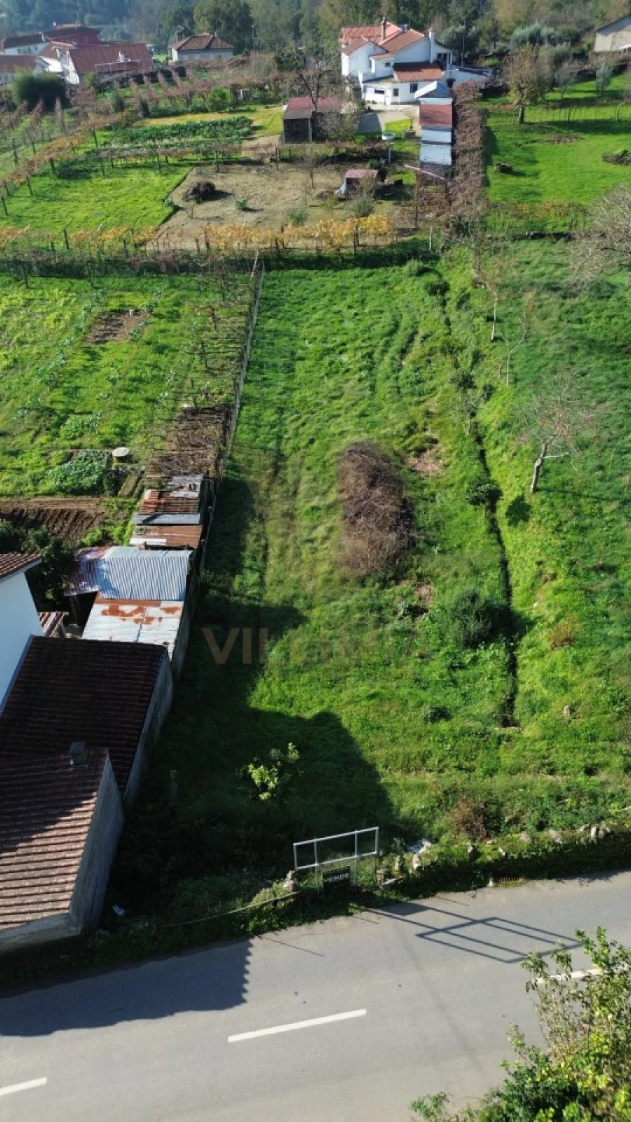 Terreno para Venda em Feitosa Foto 12