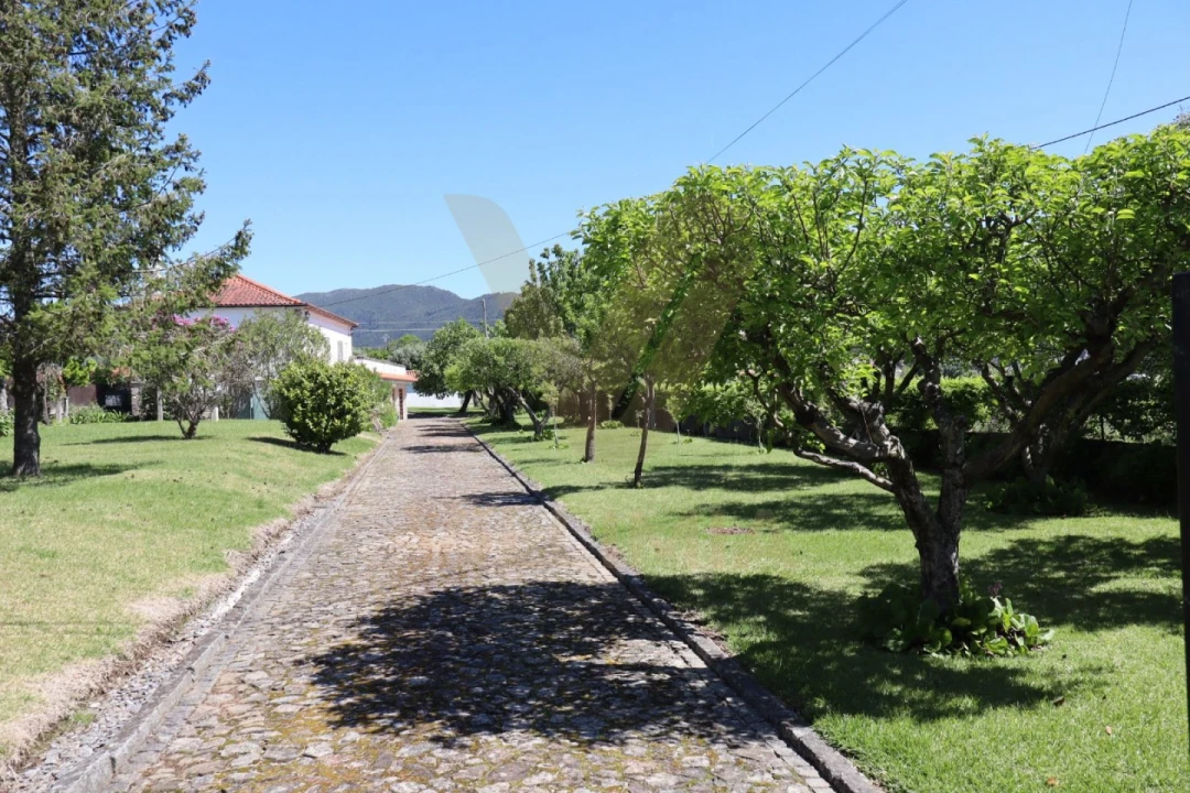 Moradia T3 para Venda em Bertiandos Foto 36