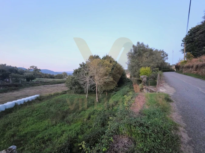 Terreno Agricola ou Rústico para Venda em Gandra Foto 2