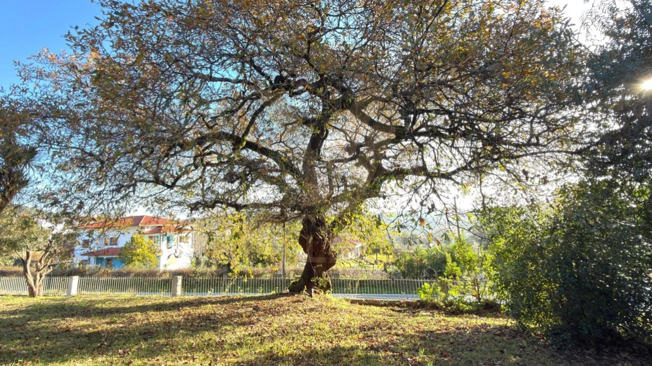 Moradia T3 para Venda em Navió e Vitorino dos Piães Foto 44