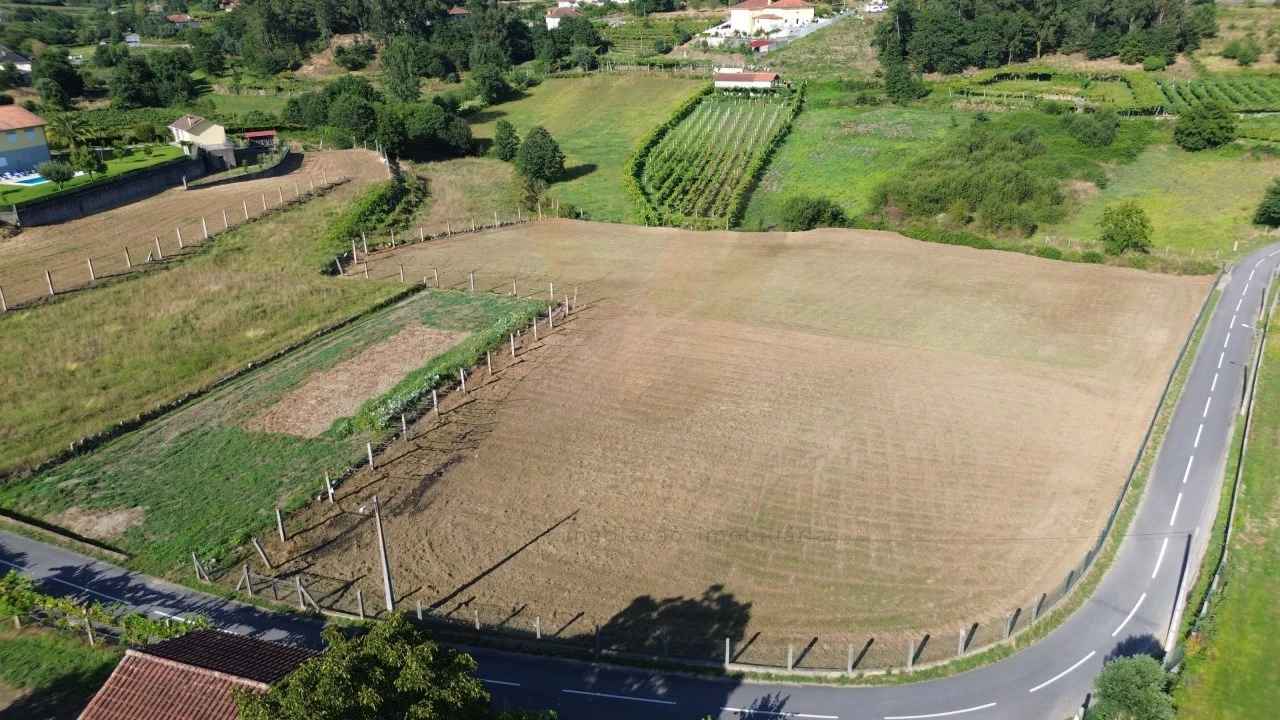 Terreno para Venda em Távora (Santa Maria e São Vicente) Foto 2