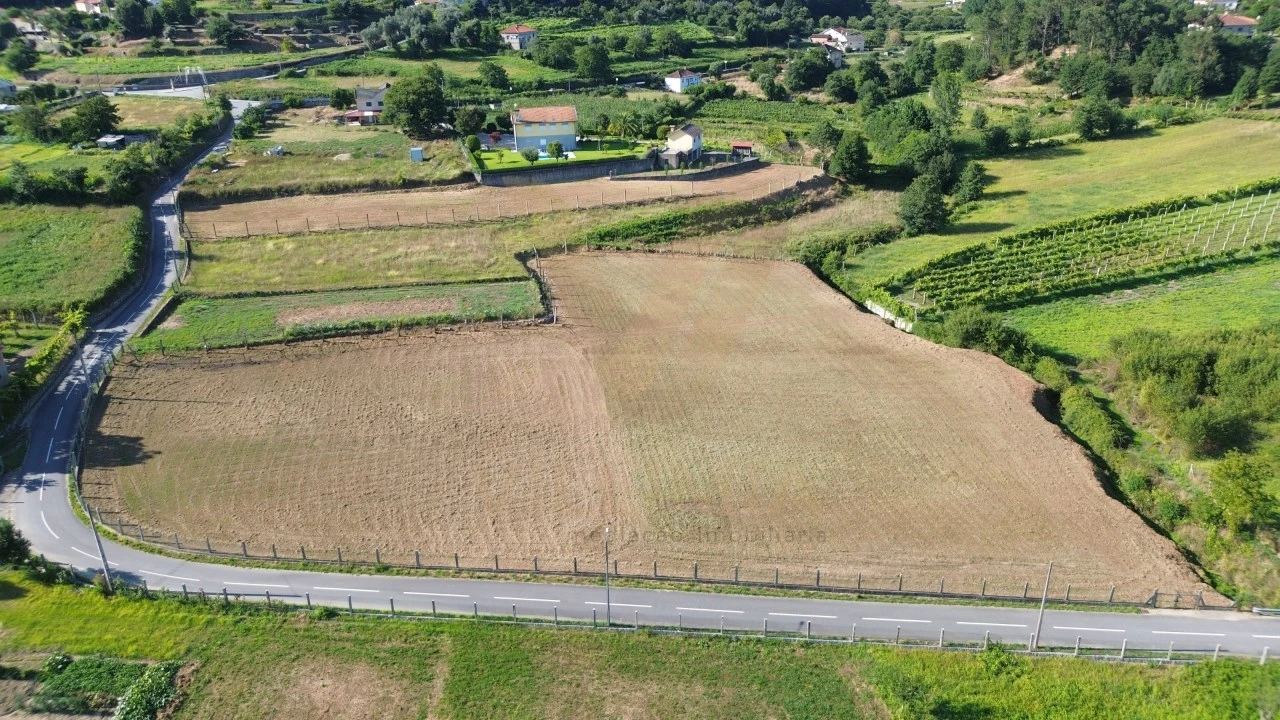 Terreno para Venda em Távora (Santa Maria e São Vicente) Foto 3