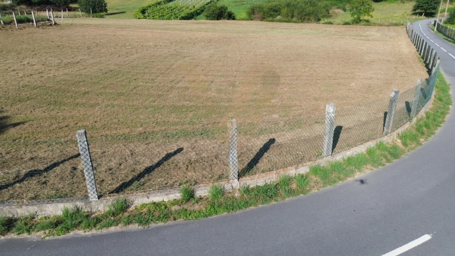 Terreno para Venda em Távora (Santa Maria e São Vicente) Foto 6