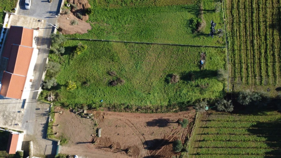 Terreno para Venda em Feitosa Foto 4