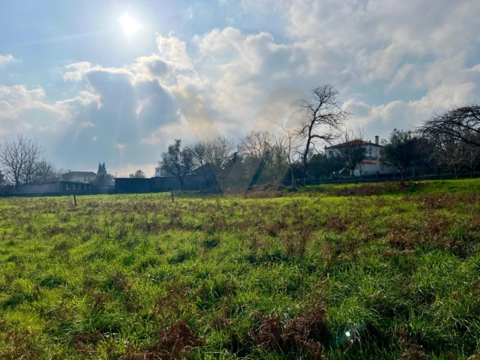 Terreno para Venda em São Pedro de Arcos Foto 1