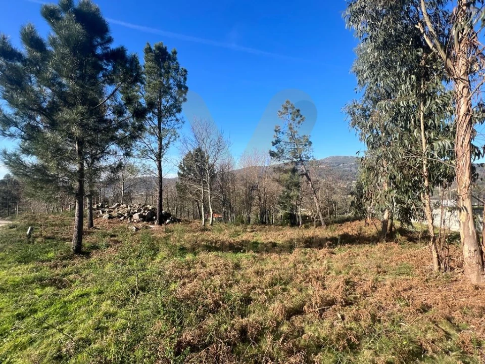Terreno para Venda em Gemieira Foto 1