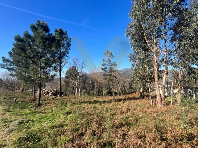 Terreno para Venda em Gemieira Foto 3