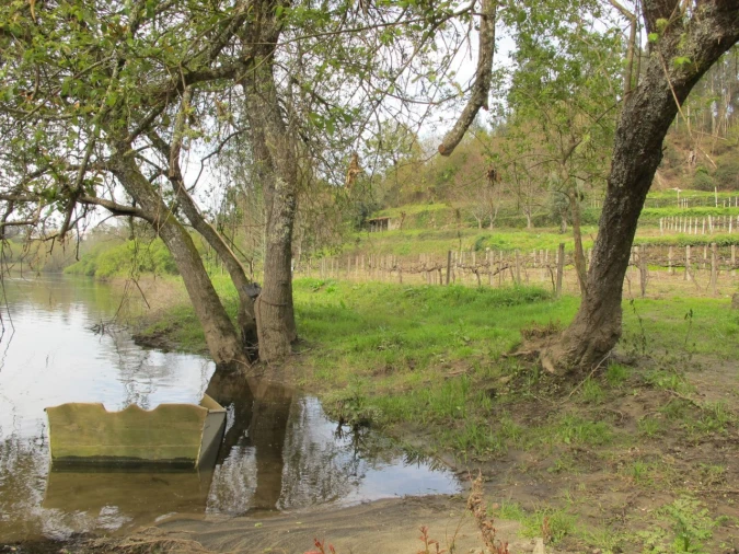 Terreno para Venda em Távora (Santa Maria e São Vicente)