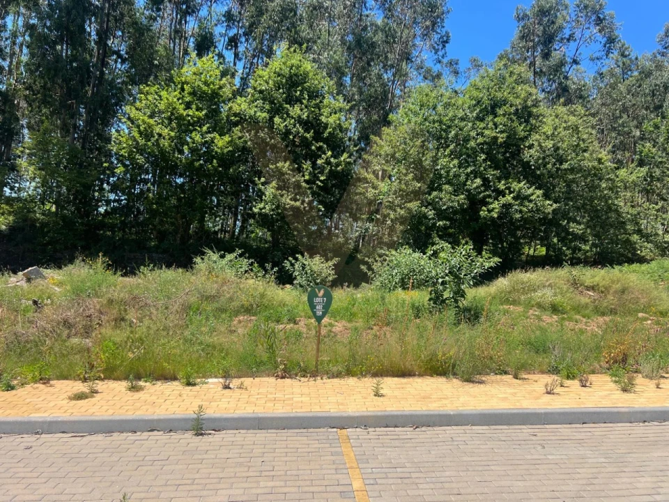 Terreno para Venda em Fornelos e Queijada Foto 3