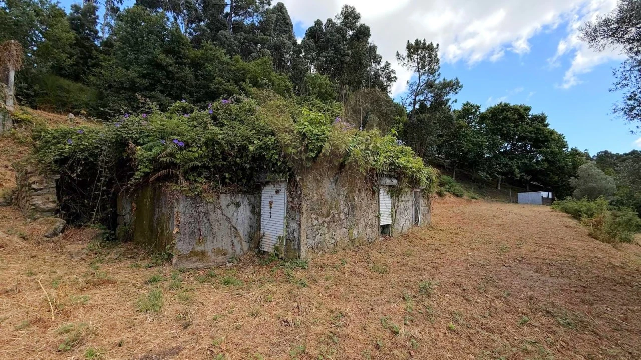 Terreno para Venda em Brandara Foto 3