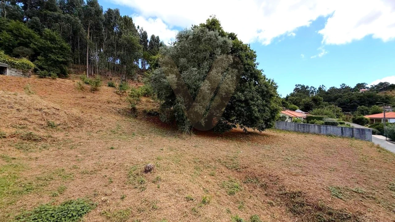 Terreno para Venda em Brandara Foto 5