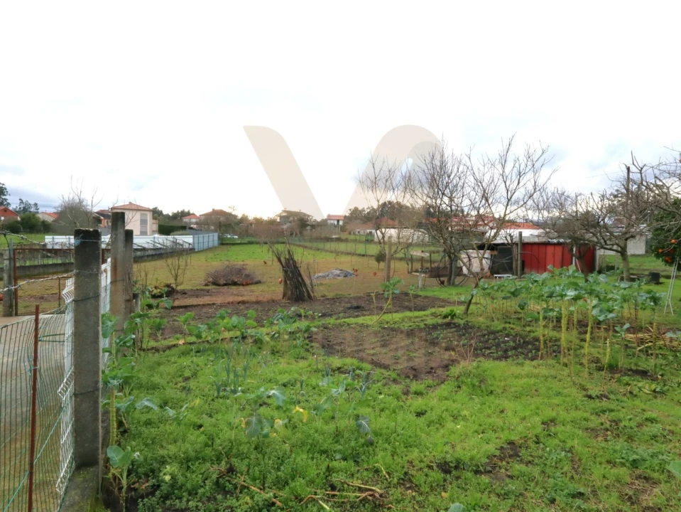 Moradia T4 para Venda em Ardegão, Freixo e Mato Foto 39