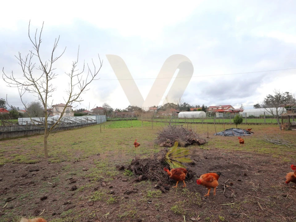 Moradia T4 para Venda em Ardegão, Freixo e Mato Foto 42