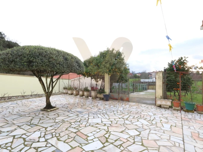 Moradia T4 para Venda em Ardegão, Freixo e Mato Foto 33