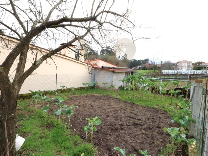 Moradia T4 para Venda em Ardegão, Freixo e Mato Foto 37