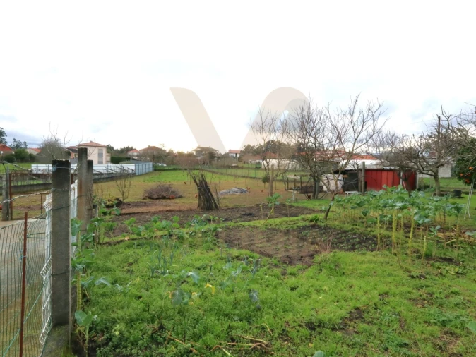 Moradia T4 para Venda em Ardegão, Freixo e Mato Foto 39