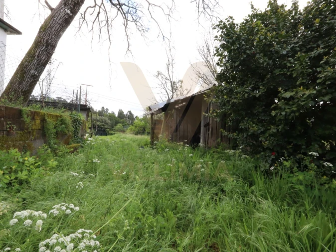 Terreno para Venda em Cabração e Moreira do Lima Foto 8