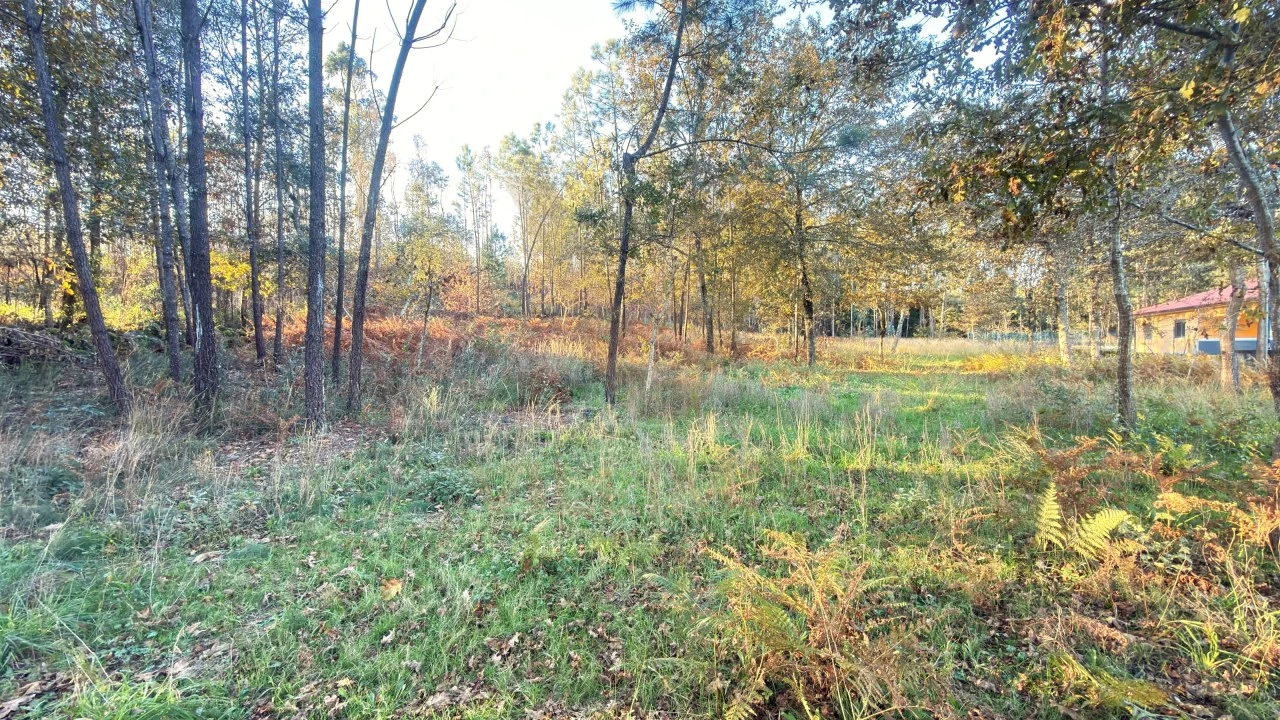 Terreno para Venda em São Pedro de Arcos Foto 1