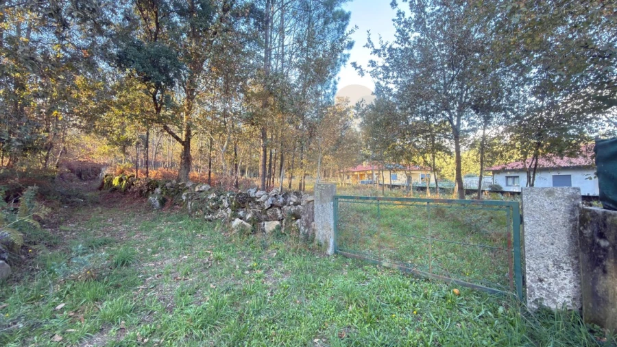 Terreno para Venda em São Pedro de Arcos Foto 2
