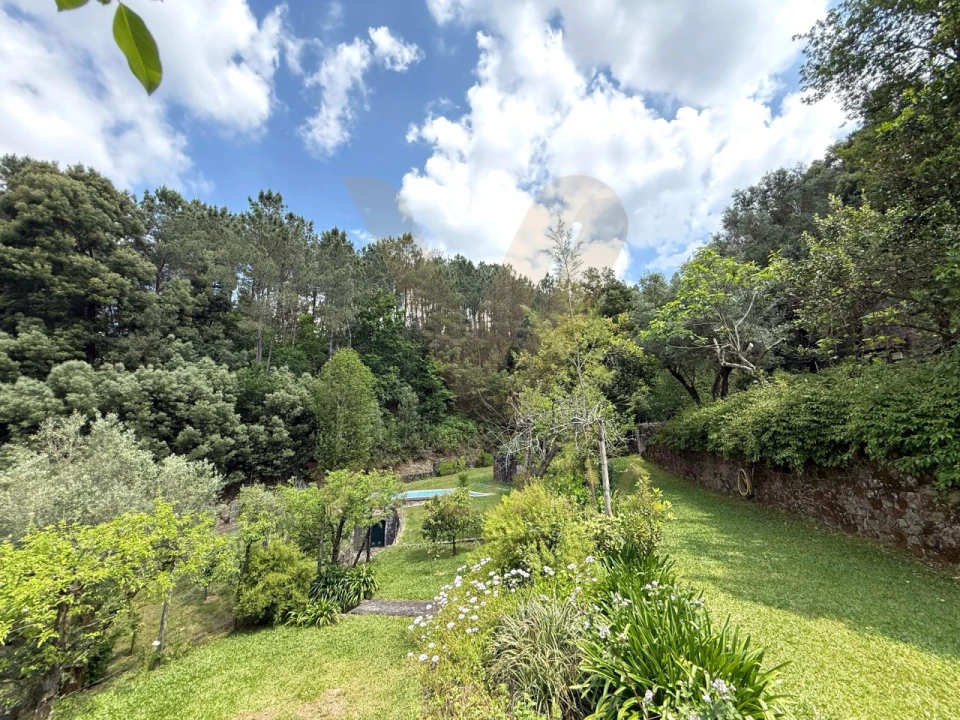 Moradia T3 para Venda em Bárrio e Cepões Foto 5