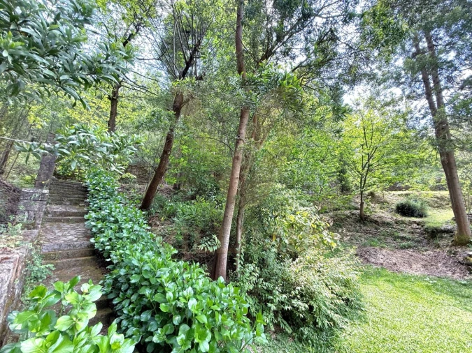 Moradia T3 para Venda em Bárrio e Cepões Foto 9