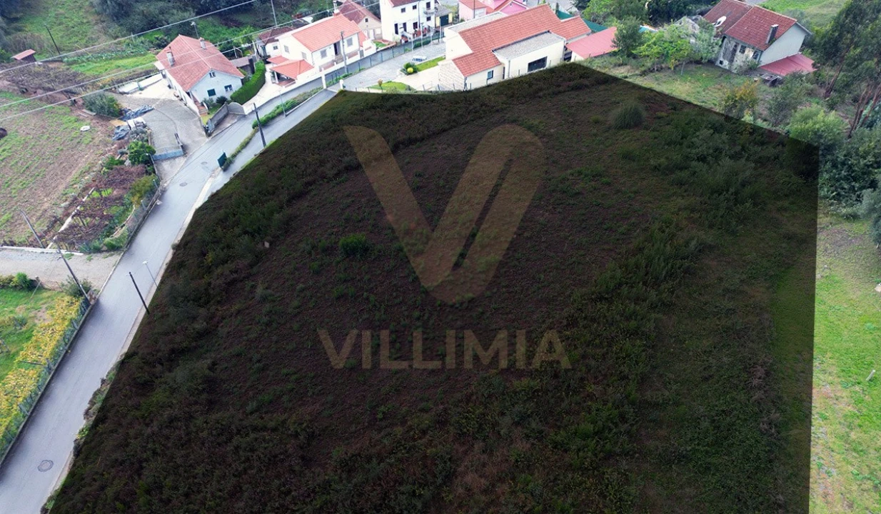 Terreno para Venda em Feitosa Foto 6