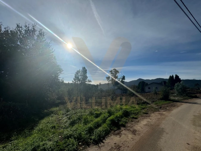 Terreno para Venda em Rebordões (Souto) Foto 9