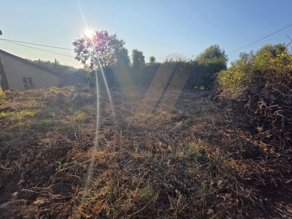 Moradia T2 para Venda em Ribeira Foto 18