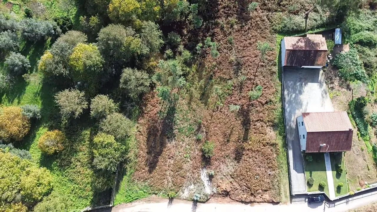 Terreno para Venda em Rebordões (Souto) Foto 11