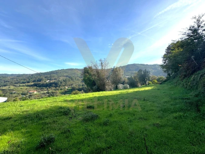 Terreno para Venda em Gondufe Foto 3