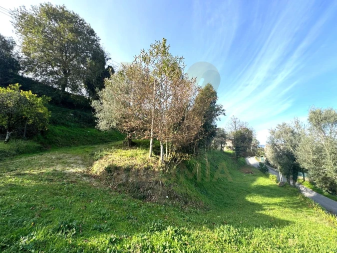 Terreno para Venda em Gondufe Foto 7