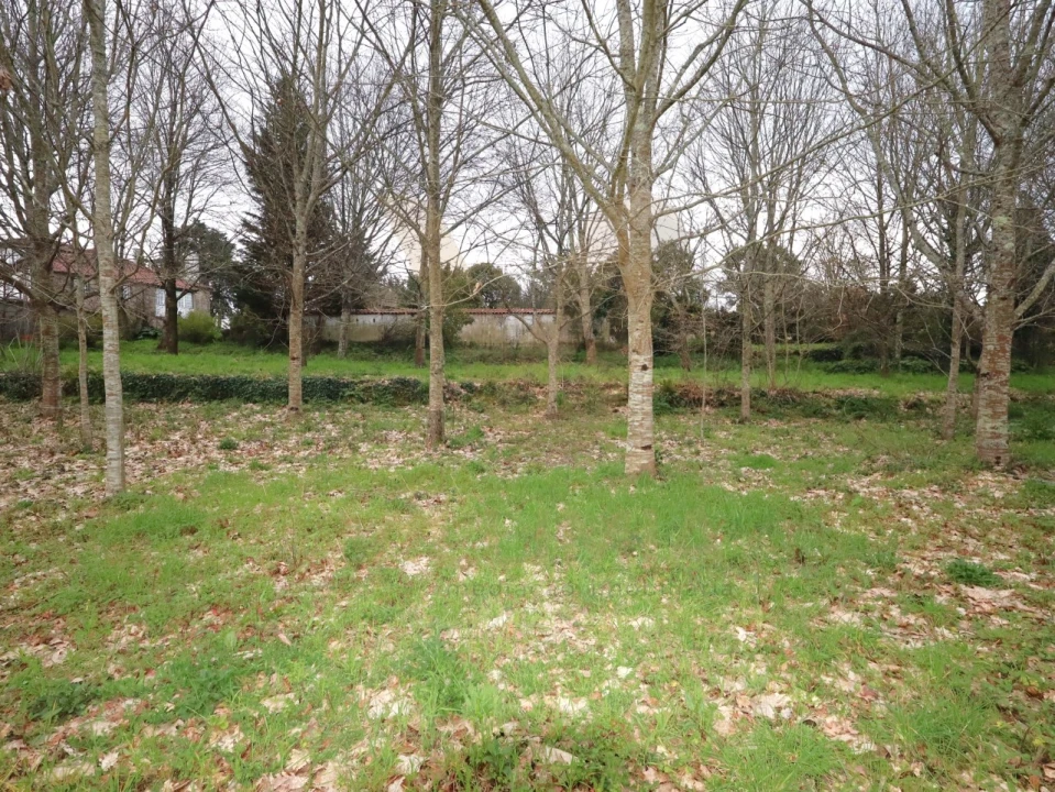 Terreno para Venda em Arcozelo Foto 5