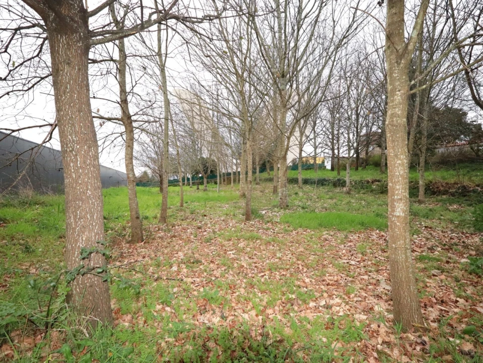 Terreno para Venda em Arcozelo Foto 6