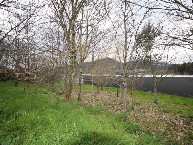 Terreno para Venda em Arcozelo Foto 7