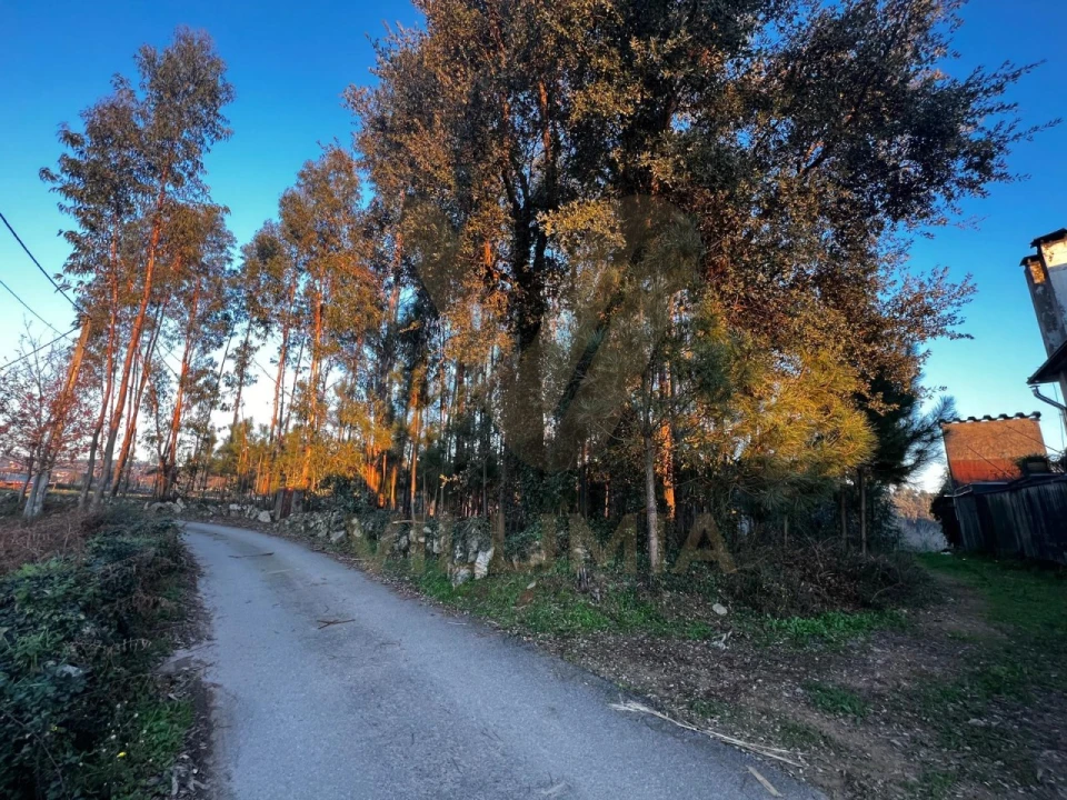 Terreno para Venda em Friastelas Foto 7