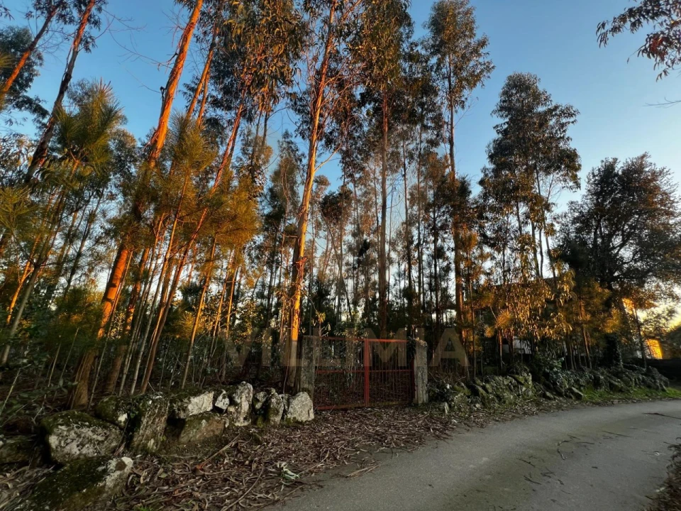Terreno para Venda em Friastelas Foto 9