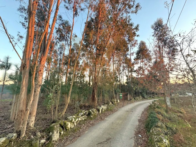 Terreno para Venda em Friastelas