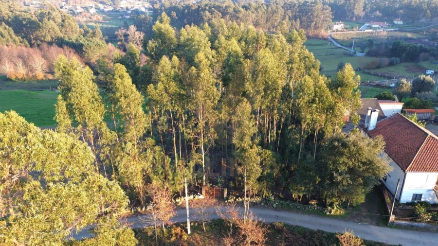 Terreno para Venda em Friastelas Foto 2