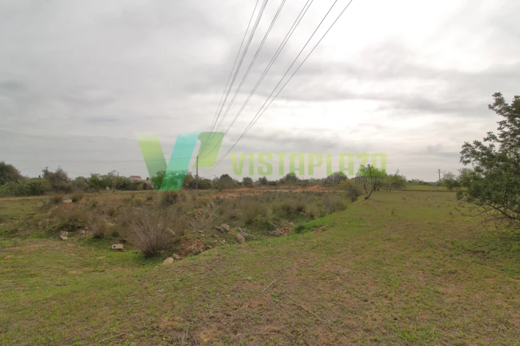 Terreno Misto para Venda em Silves Foto 6